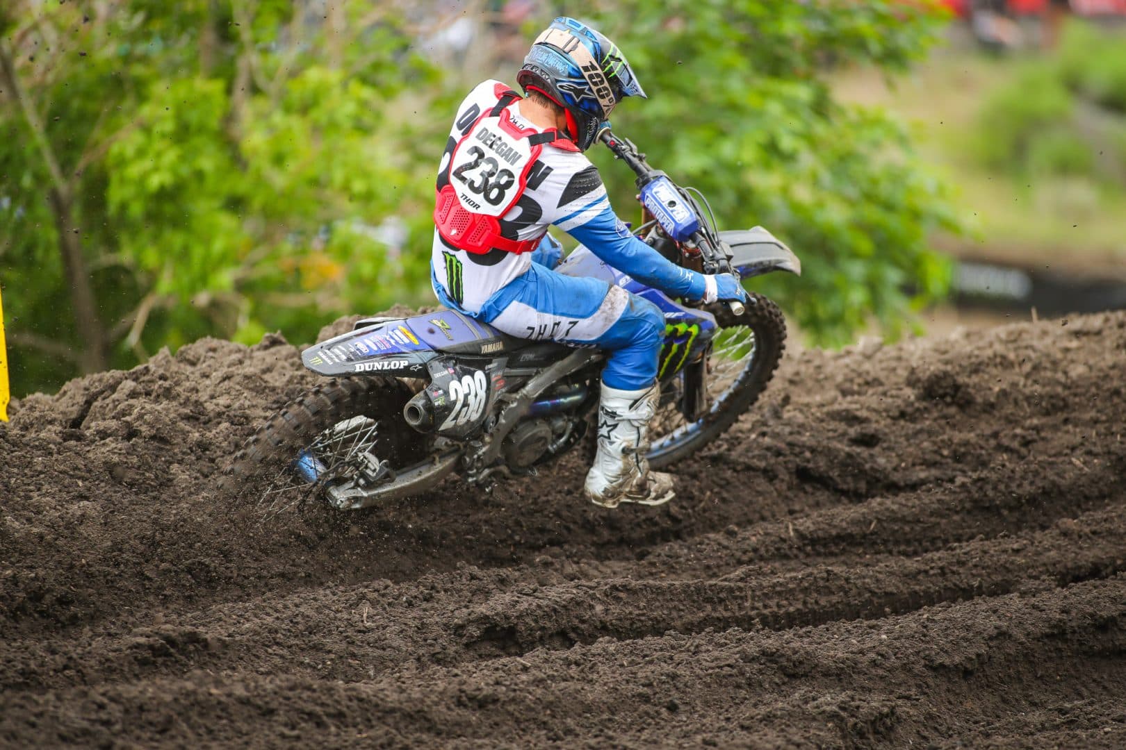 HAIDEN DEEGAN GRIT-223 250MX