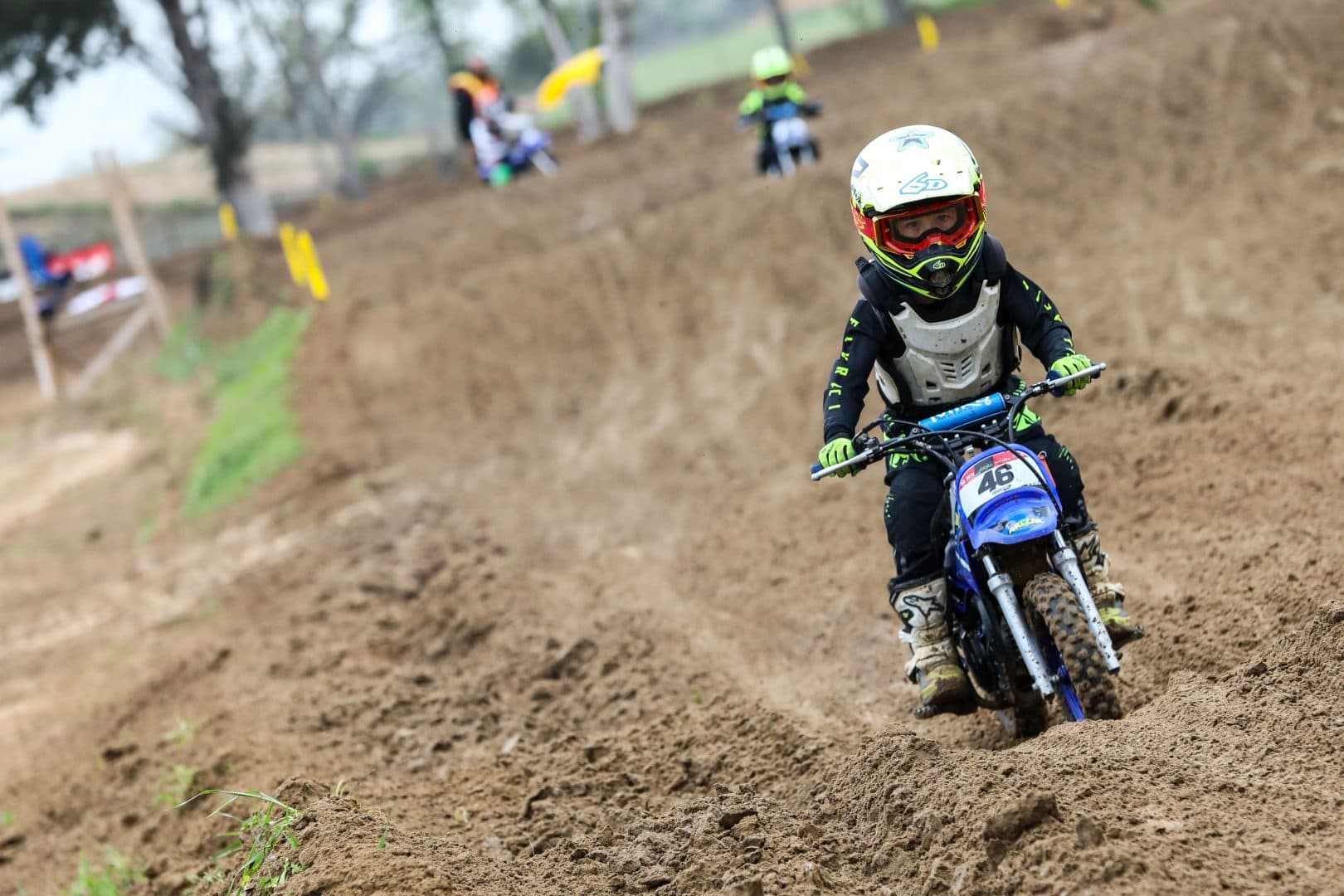 LEVI LEDDY - Recap, Revision, and Review for 2021