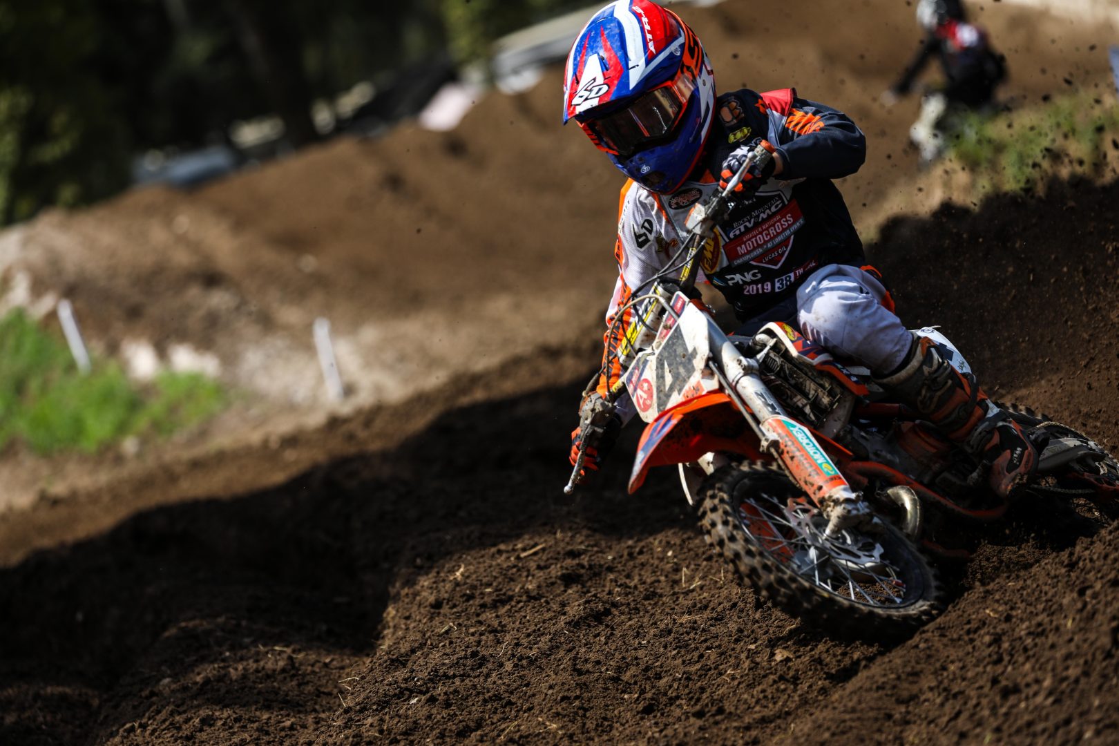 LUKE_FAUSER_LL19-1
