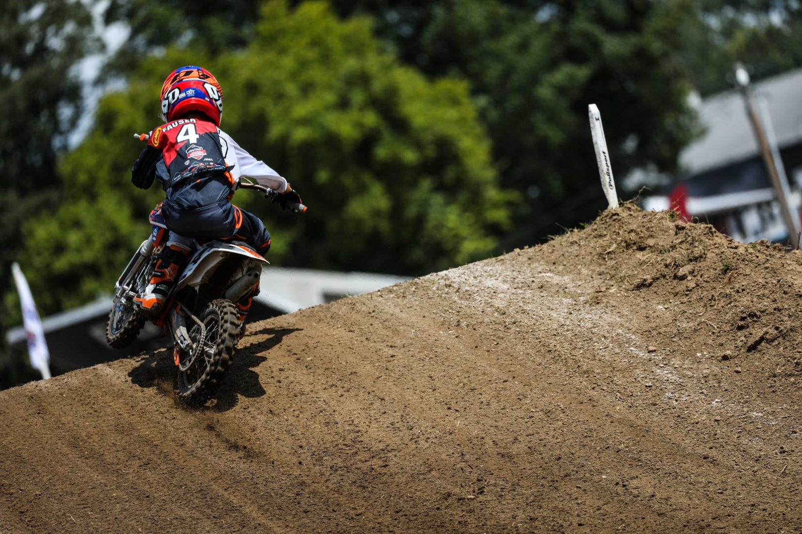 LUKE_FAUSER_LL19-2